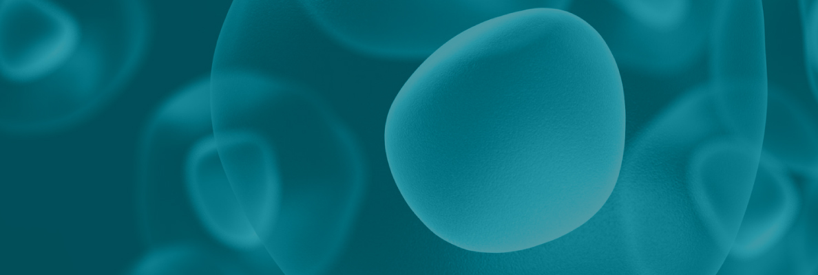 2025����_��Ŀҳbanner 04.jpg