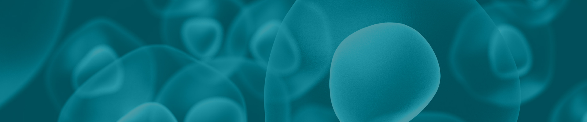 2025����_��Ŀҳbanner 03.jpg